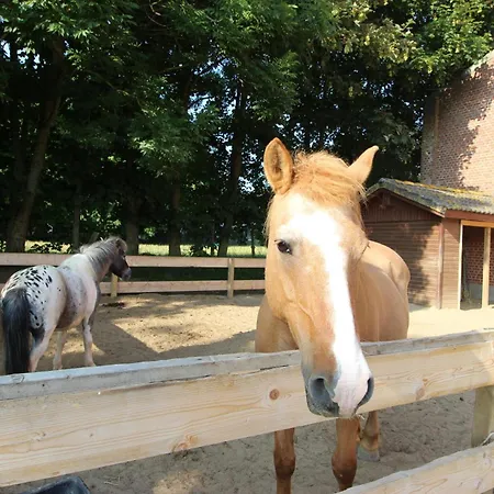 Bauernhof Hoeper-rauert - Reihenhaus 6 Apartman