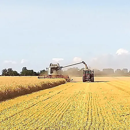 Apartman Bauernhof Hoeper-rauert - Reihenhaus 6 *