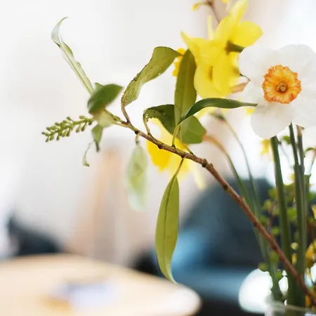 Bauernhof Hoeper-rauert - Reihenhaus 6 * Neujellingsdorf